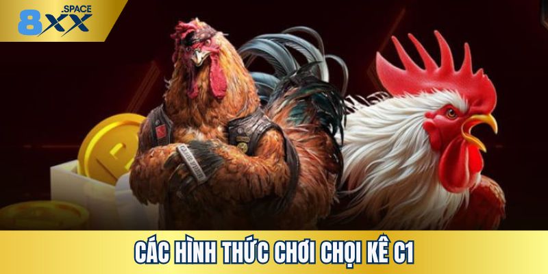 Khám phá các hình thức chơi chọi kê C1 hấp dẫn